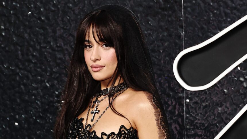 Camila Cabello's Boyfriend History: Who is She Dating Now?