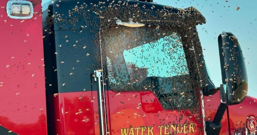 Firefighters in one California city had to battle flames and wasps as temperatures reached triple digits