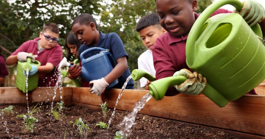 An oasis for children to learn about the climate, surrounded by trees, flower beds and herbs