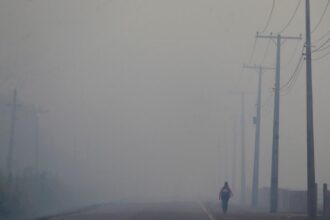 Brazil's President Lula promises to finish paving road that experts say risks worsening Amazon deforestation