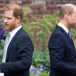The relationship between Prince Harry and Prince William