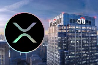 citigroup xrp ripple market cap