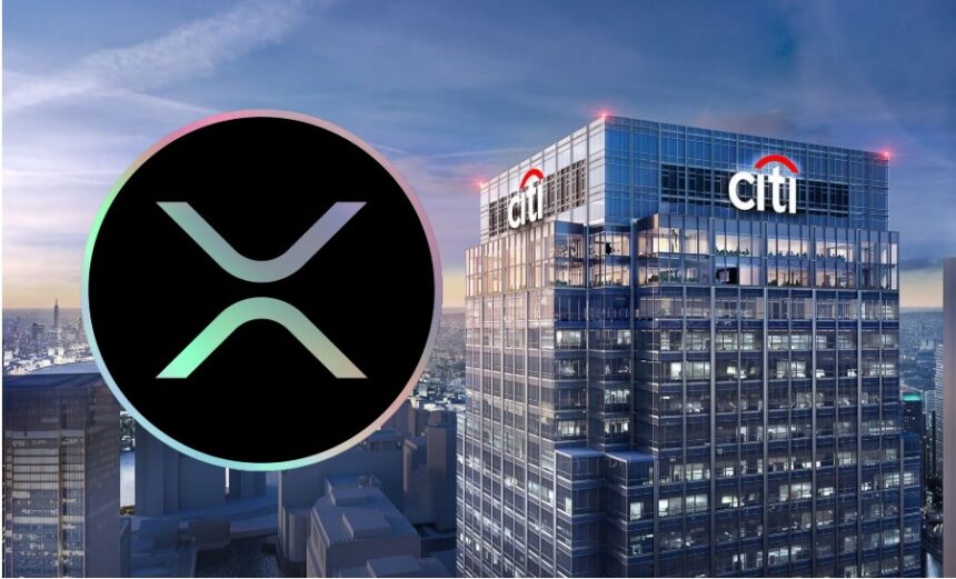 citigroup xrp ripple market cap