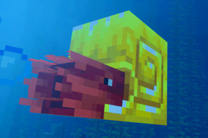 There are all the things you see in Minecraft Live, including the new Nautilus and the Spear