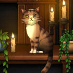 The strange ancient is the perfect sequel that sparked my witch's heart