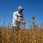 Trump's trade battle with China puts us at risk