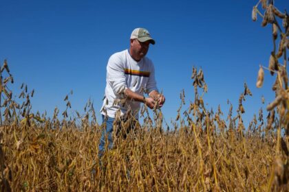 Trump's trade battle with China puts us at risk