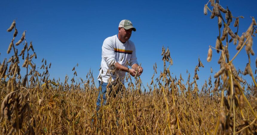 Trump's trade battle with China puts us at risk