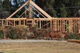 Immigrant attacks are crushing LA's fire recovery and California's economy