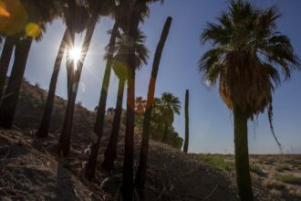 Money flow, average income rises dramatically in Parasical Coachella Valley