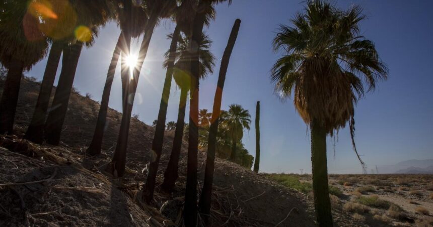 Money flow, average income rises dramatically in Parasical Coachella Valley