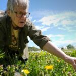 Foraging Revival: How Wild Food Enthusiasts Reconnect with Nature