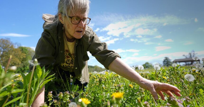 Foraging Revival: How Wild Food Enthusiasts Reconnect with Nature