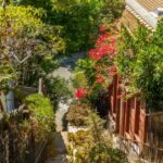 The "Zone Zero" rule could be a California wildfire savior - or that environment will undo