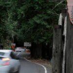 As federal government closures loom, national park stewards warn of danger and "toilet paper flowers"