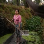 Mexican women step up to save ancient Aztec farms and save disappearing ecosystems