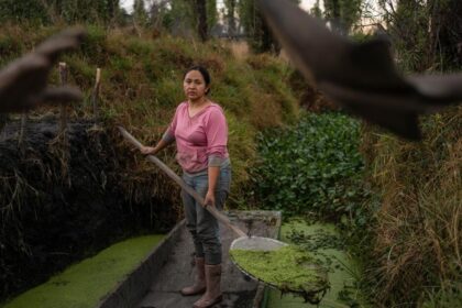 Mexican women step up to save ancient Aztec farms and save disappearing ecosystems