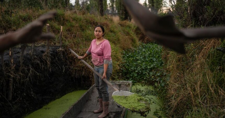 Mexican women step up to save ancient Aztec farms and save disappearing ecosystems