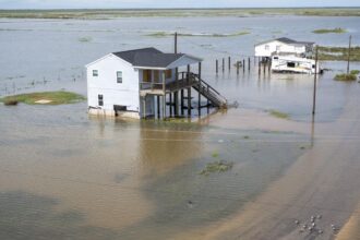Government shutdown causes flooding and insurance is suspended as stolon season arrives
