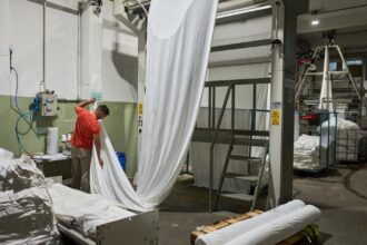 President Miley must win votes as Argentine industry reels after Trump's $20 billion grab