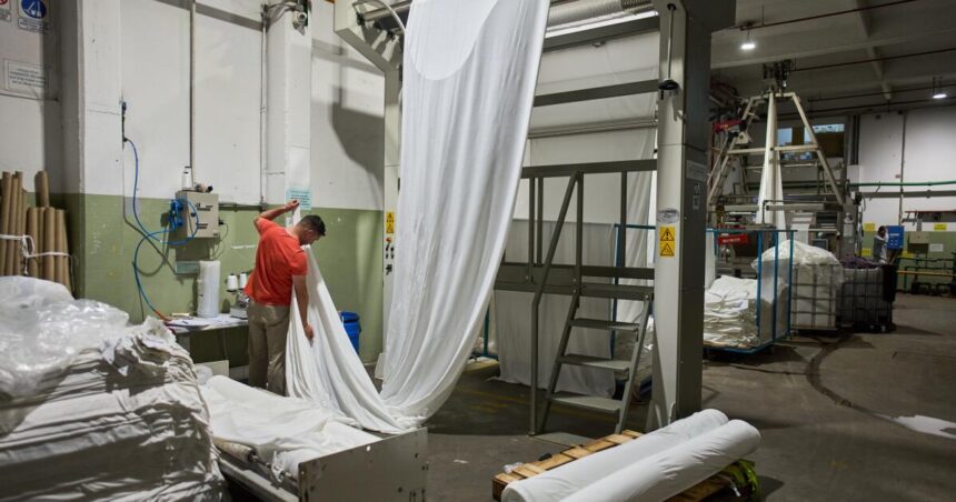 President Miley must win votes as Argentine industry reels after Trump's $20 billion grab