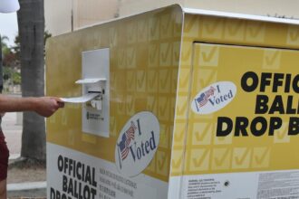 Are the election documents legal? Where to find reliable information