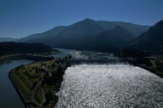 Oregon state and conservationists ask court to change dam operations to save salmon