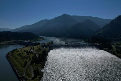 Oregon state and conservationists ask court to change dam operations to save salmon