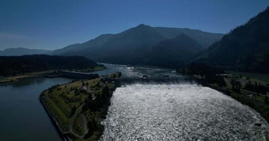 Oregon state and conservationists ask court to change dam operations to save salmon