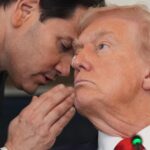 Gaza agreement: praise and danger for Trump