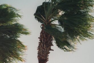 Santa Ana winds expected Sunday night