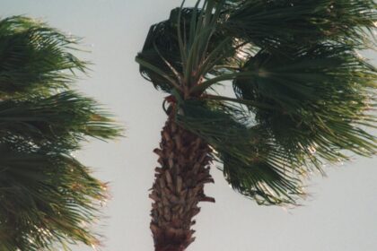 Santa Ana winds expected Sunday night