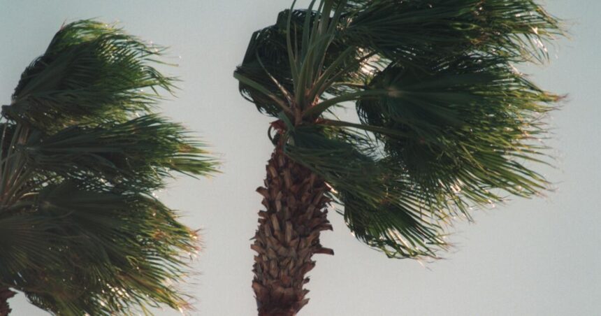 Santa Ana winds expected Sunday night