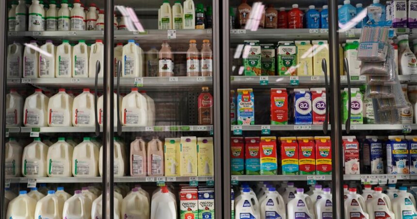 Trump administration announces it will provide some funds to SNAP after judge's ruling