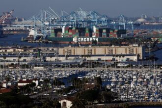 Los Angeles aviation authorities approve port pollution deal as skeptics warn of 'no clear accountability'