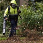 How to turn fallen leaves into valuable soil conditioner this fall