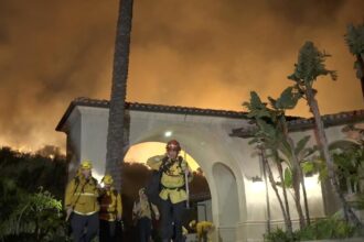 LAFD records show no signs of "cold tail" again at Lachman Fire, as interim chief claimed