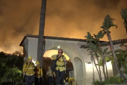 LAFD records show no signs of "cold tail" again at Lachman Fire, as interim chief claimed