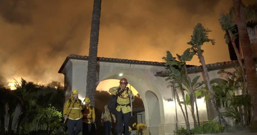 LAFD records show no signs of "cold tail" again at Lachman Fire, as interim chief claimed