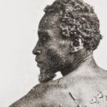 A small army is racing against time and Trump to protect U.S. history.