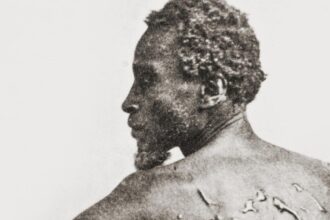 A small army is racing against time and Trump to protect U.S. history.