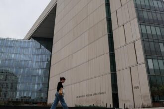 Los Angeles Police Department did not disclose domestic violence allegations against police officer to state, hearing reveals