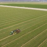 Arizona is considering imposing restrictions on where Saudi Arabian companies pump desert groundwater.