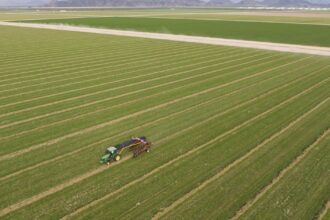 Arizona is considering imposing restrictions on where Saudi Arabian companies pump desert groundwater.