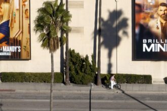 Netflix executives seek to allay fears over multibillion-dollar deal with Warner Bros.