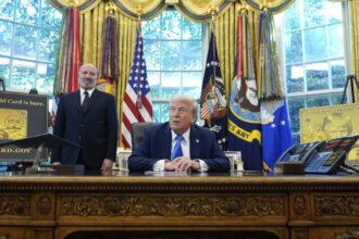 America tried something new in 2025. It's not going well