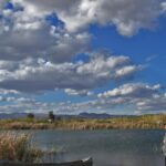 Why did one tribe declare the Colorado River a corporation?